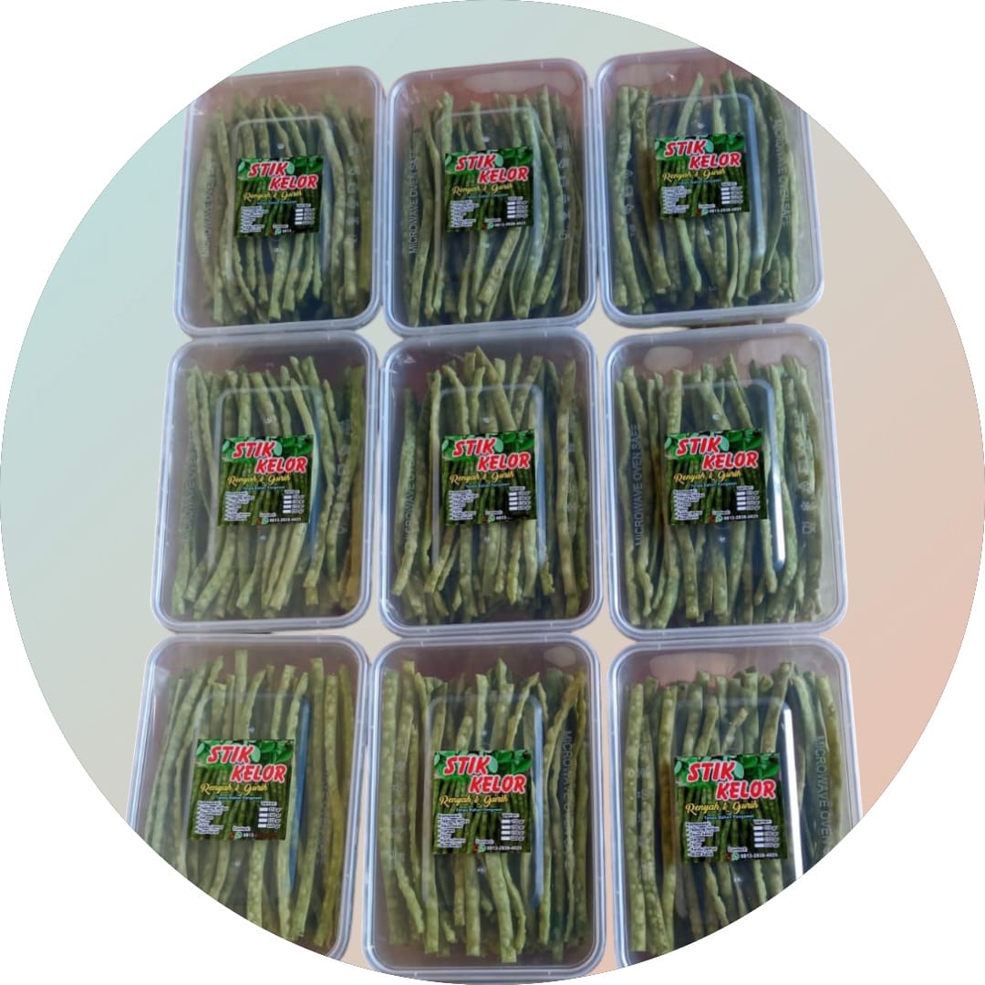 Stik Kelor